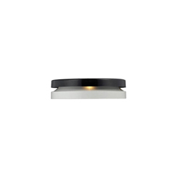 ưToric Suspension Light F픟 CGX79064